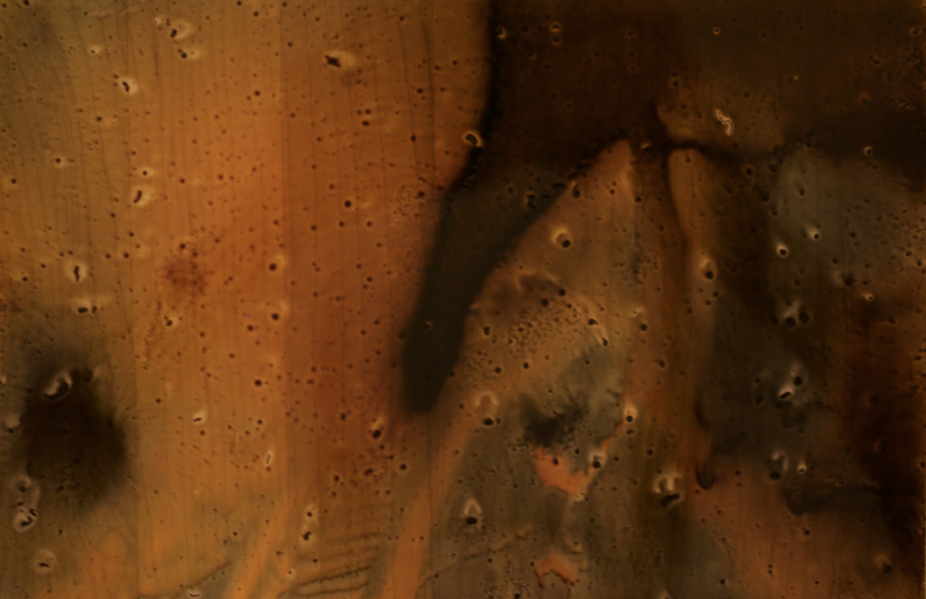 Bleeding Ink, 2017 Printer ink on transparency