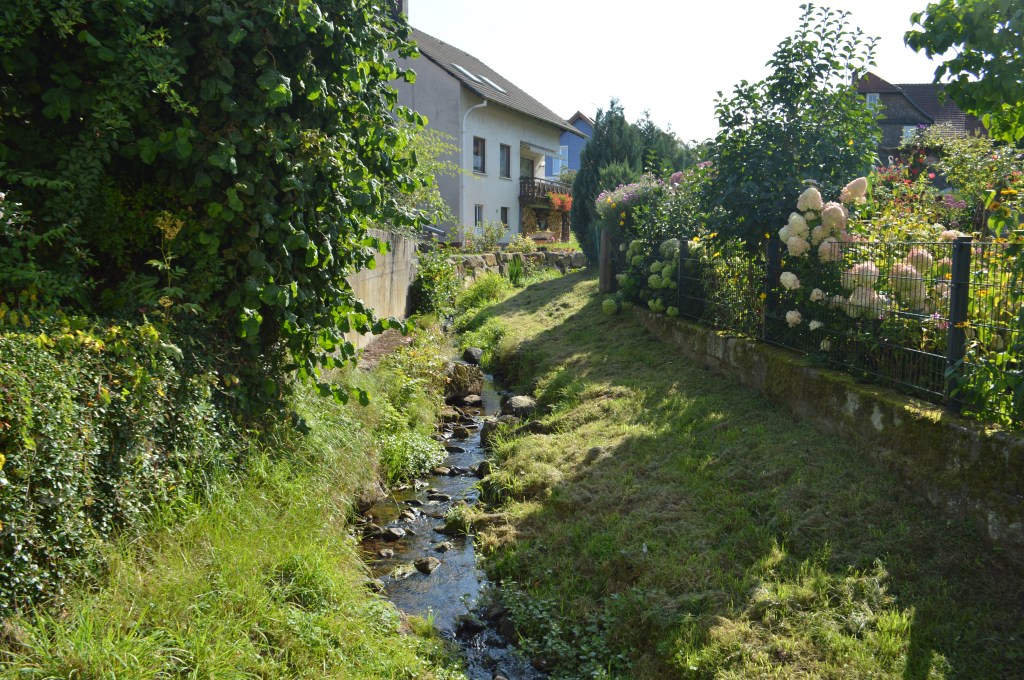 Gersfeld Creek, 2019 Photograph A quaint river breaks up the never-ending green.