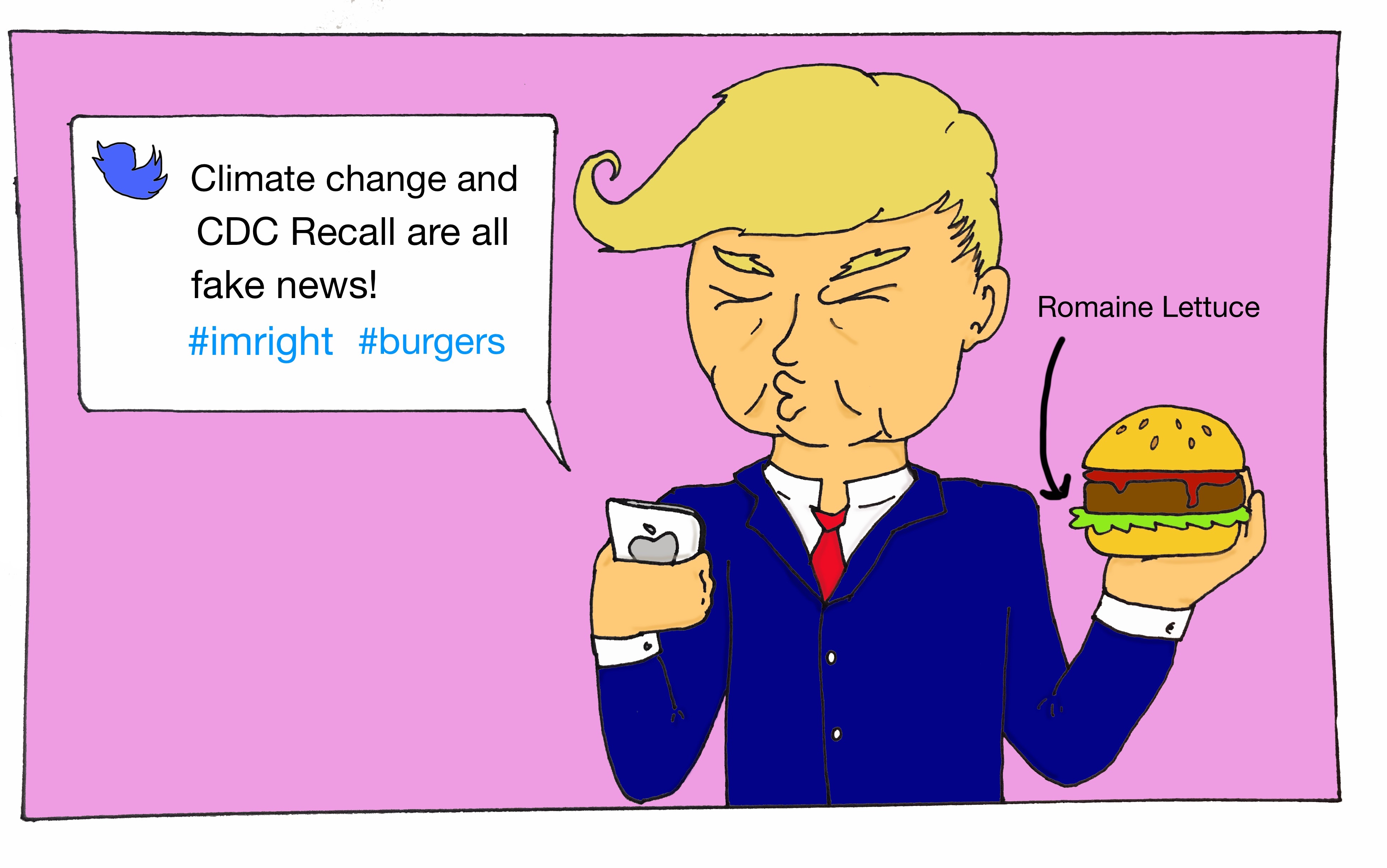 Lettuce, 2018 Ink, paper, digital coloring